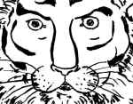 Tiger Rowe