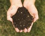 Compost