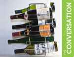 Dialog Wines