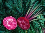 beets