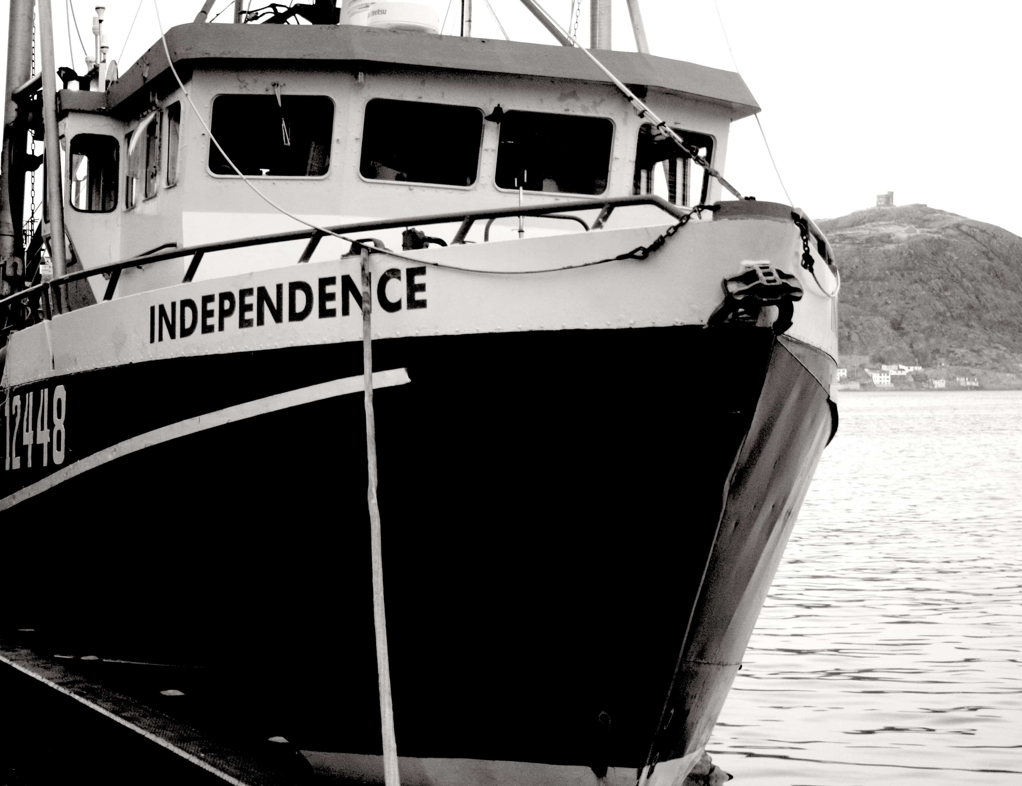 indypendence3 indypendence3