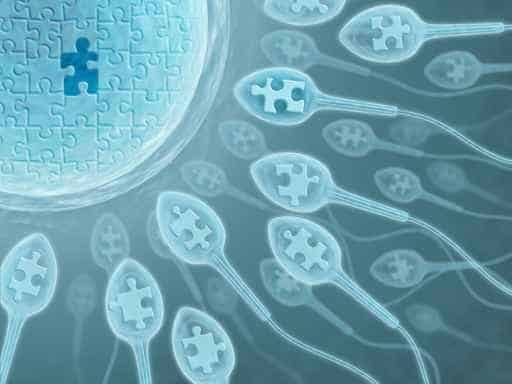 Sperm and Egg Sperm and Egg