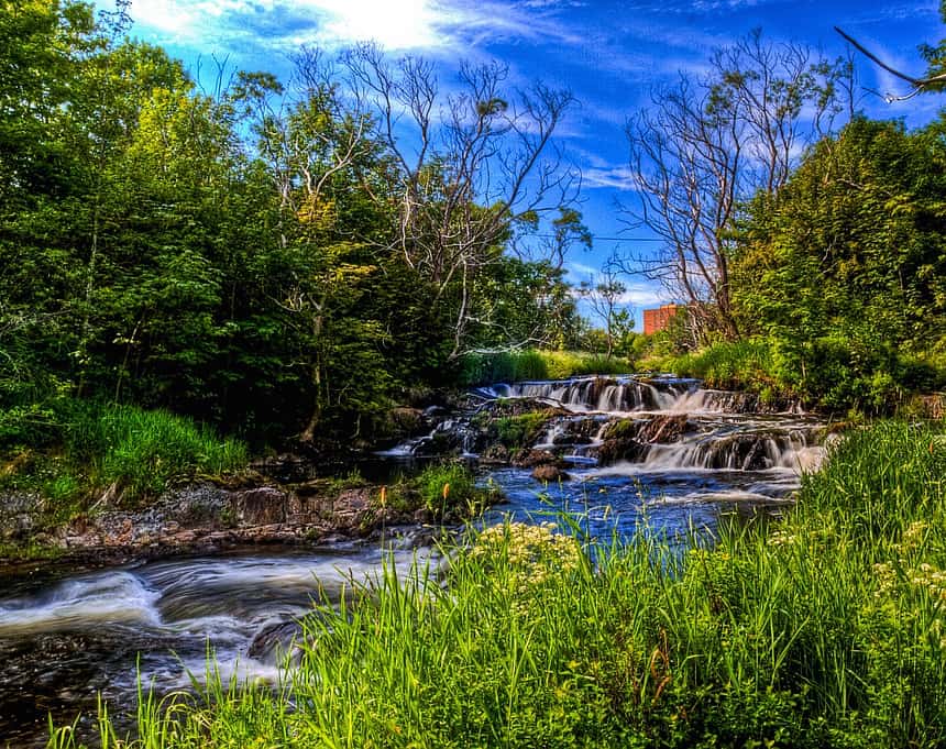 Stonney Rivers City of St. John's buries environment, again – The Independent